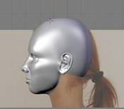 Modeling the Female Head DVD Picture